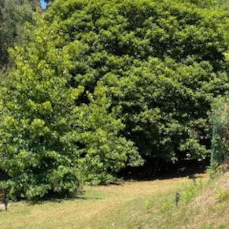 A Casa Do Portal, Tu En Campo Lameiro, Cerca De Pontevedra Σπίτι διακοπών *
