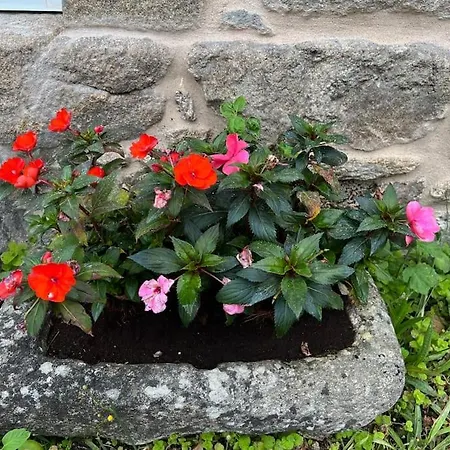 A Casa Do Portal, Tu En Campo Lameiro, Cerca De Pontevedra * Campo Lameiro
