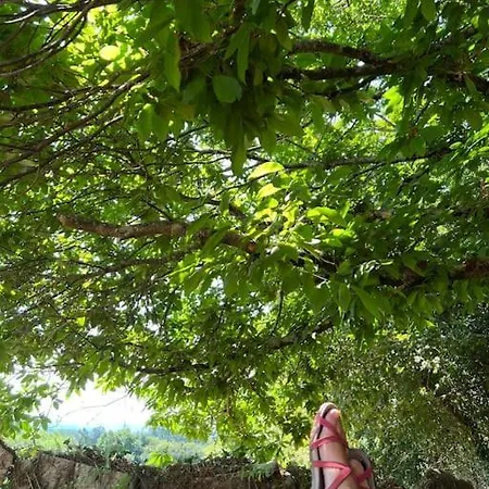 Σπίτι διακοπών A Casa Do Portal, Tu En Campo Lameiro, Cerca De Pontevedra