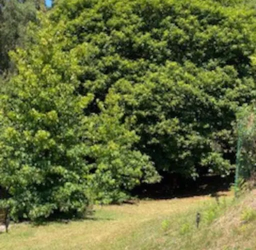 A Casa Do Portal, Tu En Campo Lameiro, Cerca De Pontevedra Dom wakacyjny *
