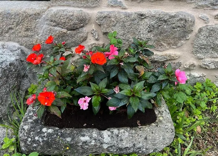 A Casa Do Portal, Tu En Campo Lameiro, Cerca De Pontevedra * Campo Lameiro
